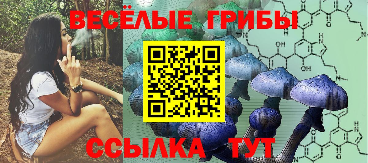 Галлюциногенные грибы прущие грибы Ржев