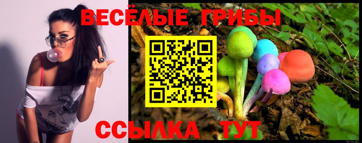 Галлюциногенные грибы мицелий  Галлюциногенные грибы MAGIC MUSHROOMS  Ржев  наркотики  Вход с VPN 
